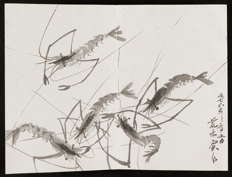 Album of Sketches of Fish and Shellfish, Minol Araki, 1978