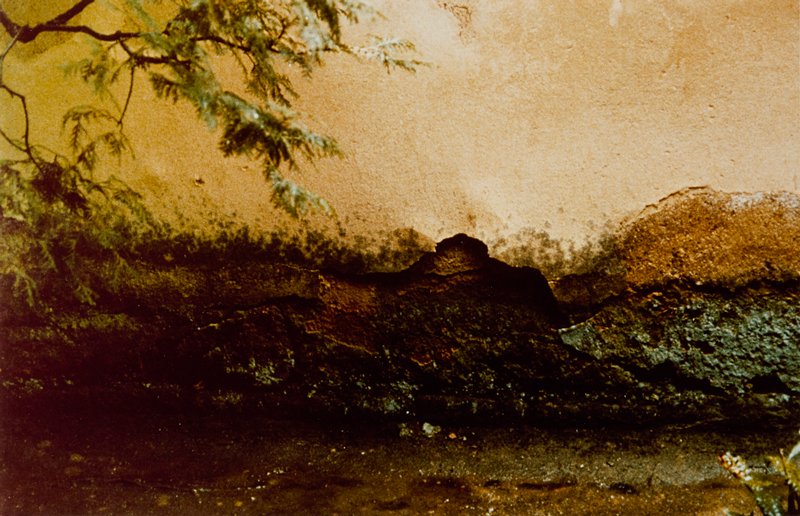 Japanese Landscape, Nathan Lerner, c. 1975