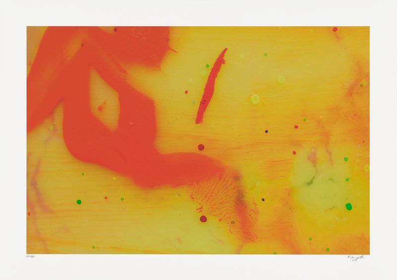 Palette Series: Monique Prieto #1, (Transparent Apron), Robert Weingarten, 2004
