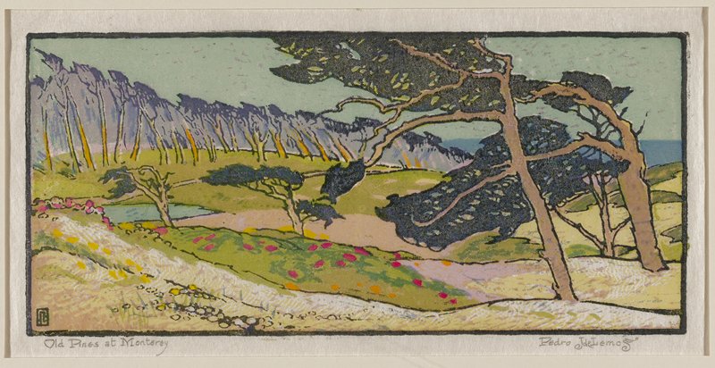 Old Pines at Monterey, Pedro de Lemos, c. 1921