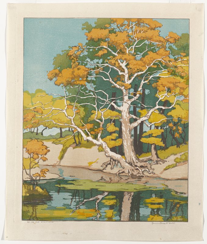 Old Sycamore, Norma Bassett Hall, 1941–42