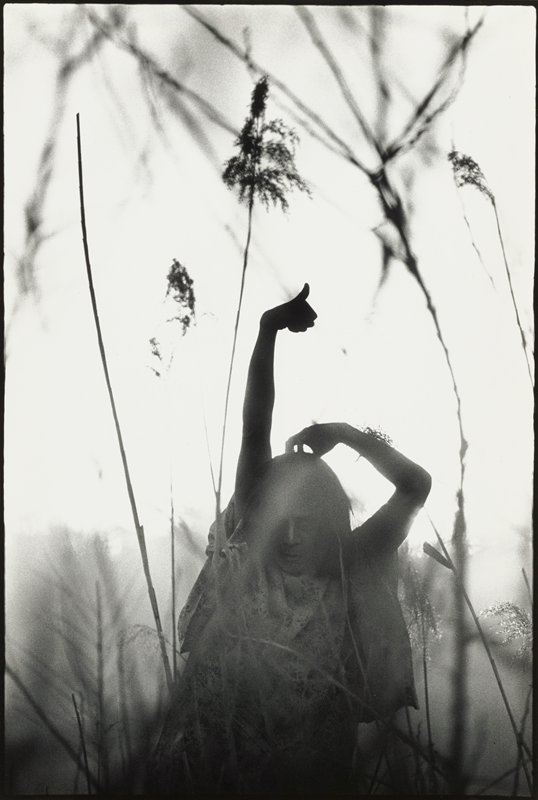 Kamaitachi #34, Hosoe Eikoh, 1968