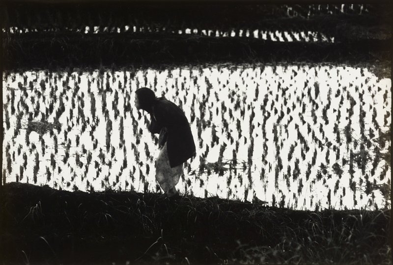 Kamaitachi #35, Hosoe Eikoh, 1968
