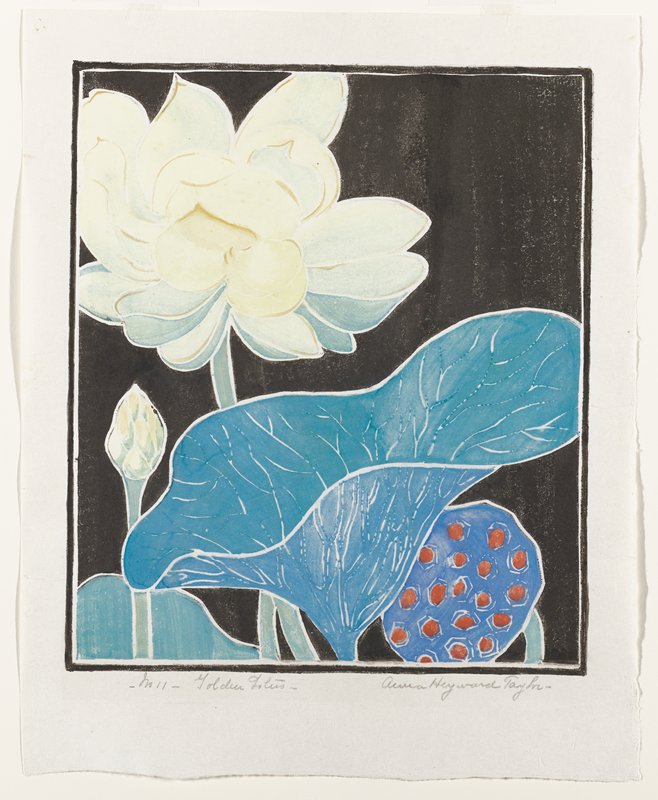 Golden Lotus, Anna Heyward Taylor, 1933