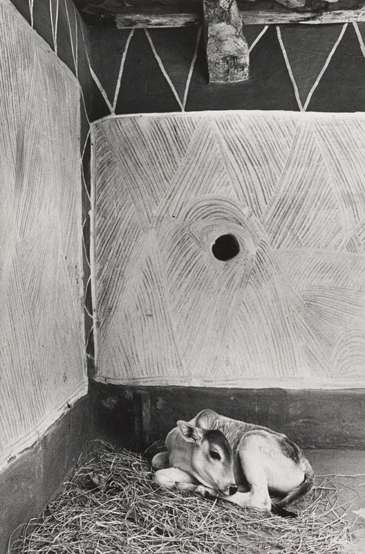Interior of a Rajawar tribal house, Madhya Pradesh, Jyoti Bhatt, 1983