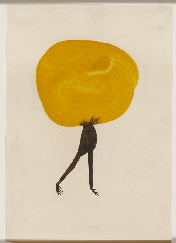Untitled, Marcos Bontempo, 2012