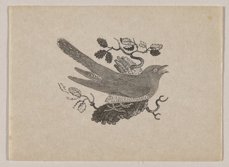 Bird, Thomas Bewick, c. 1790