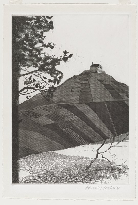 A Wooded Landscape, David Hockney, 1969–70