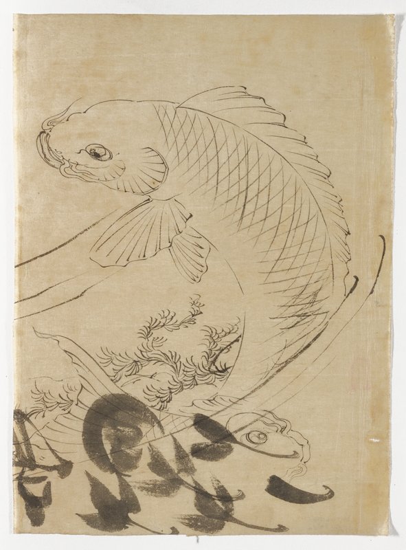 Study of a leaping carp, Цукиока Ёситоси, XIX век