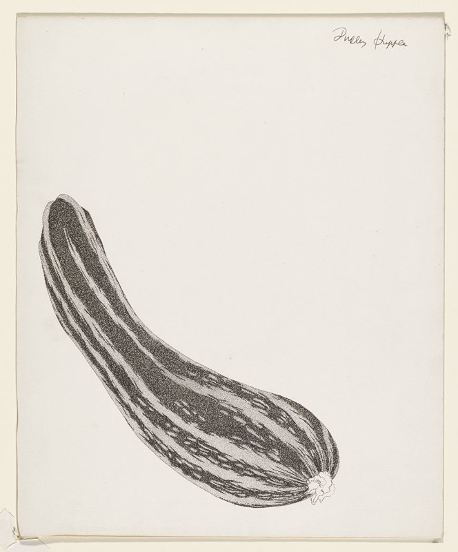 Cocozelle Squash (or Vegetable Marrow Squash), Dudley Huppler, 1948