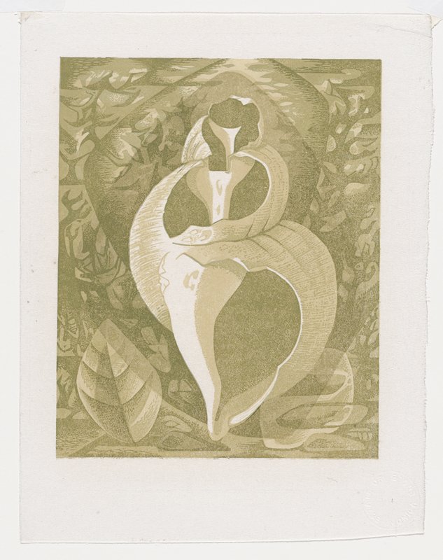 Molusc, Monica Poole, 1974