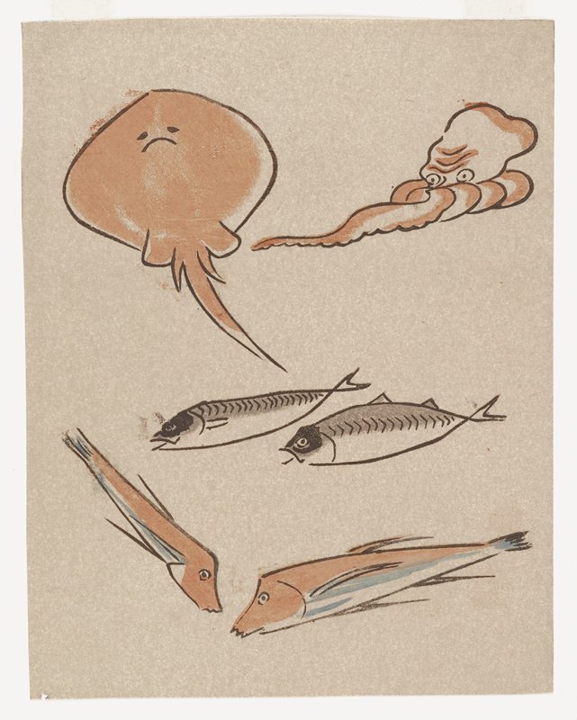 [Fish, stingray, and octopus], Prosper Alphonse Isaac, c. 1900–24