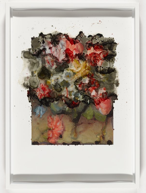 Blumen in einer Glasvase nach Jacob van Hulsdonck nach 1608 (5/9), Joachim Schulz, 2017