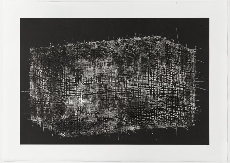 Rolling Contagion, Nishimura Ryo, 2017