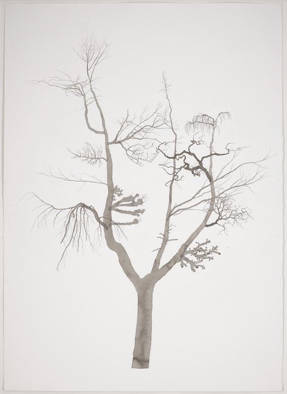 Study No. 1 for “New Amalgam”, Roxy Paine, 2016
