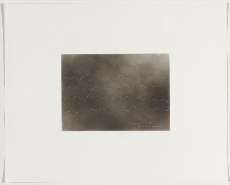 Listening to music (Schubert's Serenade) 1880, Plate 5 from The First Time, The Heart (A Portrait of Life 1854-1913), Dario Robleto, 2017
