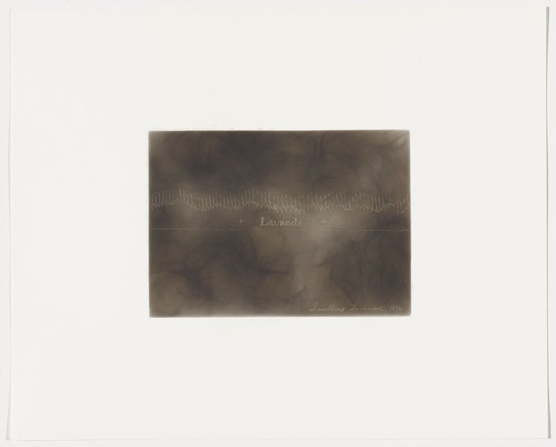 Smelling Lavender, 1896, Plate 17 from The First Time, The Heart (A Portrait of Life 1854-1913), Dario Robleto, 2017