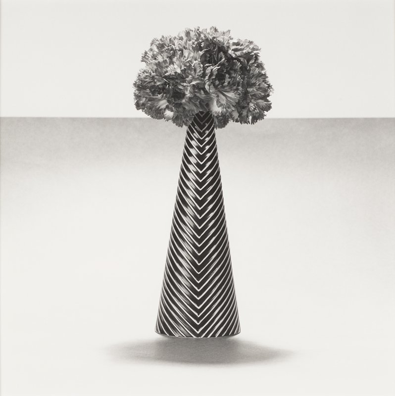 Carnations by Robert Mapplethorpe