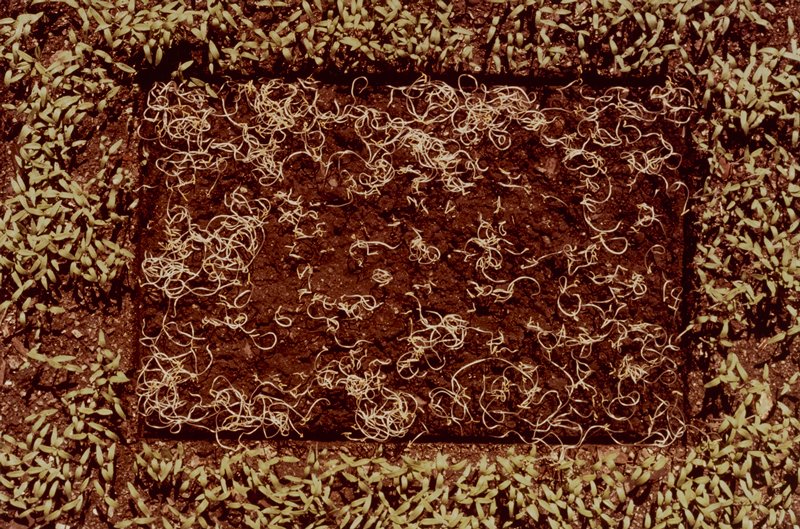 Situation, Kenji Nakahashi, 1981