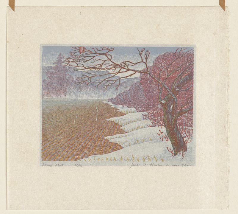 Spring Mist, James Dexter Havens, 1942