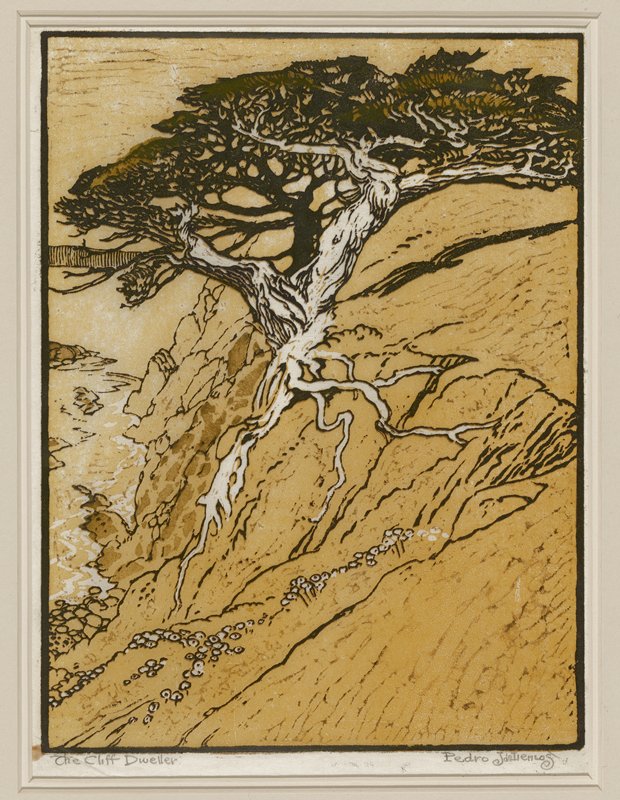 The Cliff Dweller, Pedro de Lemos, c. 1915–20
