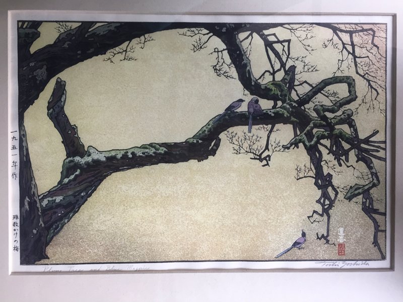 Plum Tree and Blue Magpie, Yoshida Tōshi, 1951