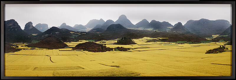 Canola Fields #2, Luoping, Yunnan Province, China, Edward Burtynsky, 2011