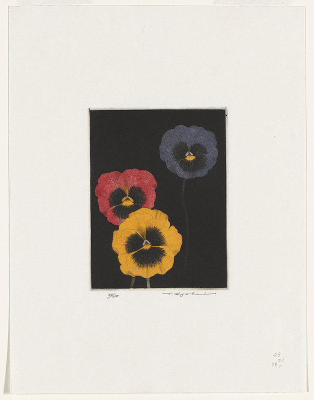 Pansy, Tanaka Ryōhei, 1969