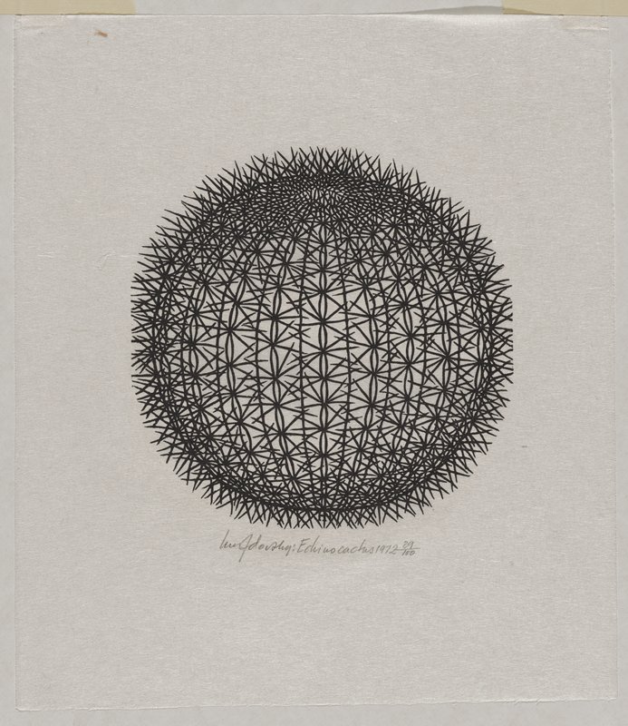 Echinocactus, Jacques Hnizdovsky, 1972