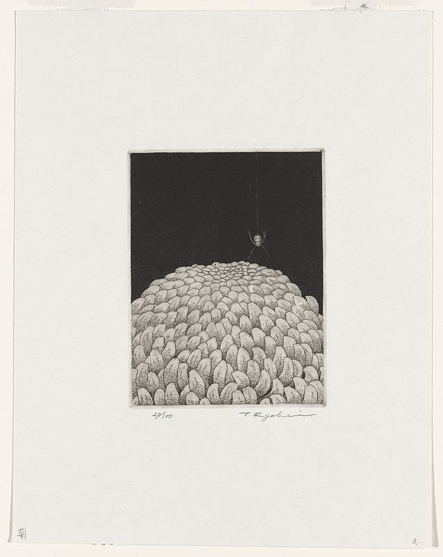 Chrysanthemum, Tanaka Ryōhei, 1969
