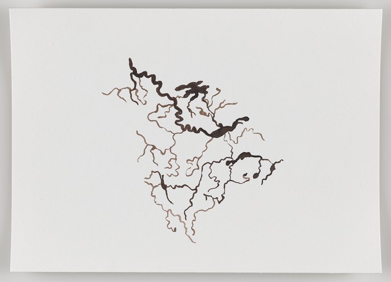 Mackenzie River Basin, from Echo #3, Rafael Villares, 2015–19