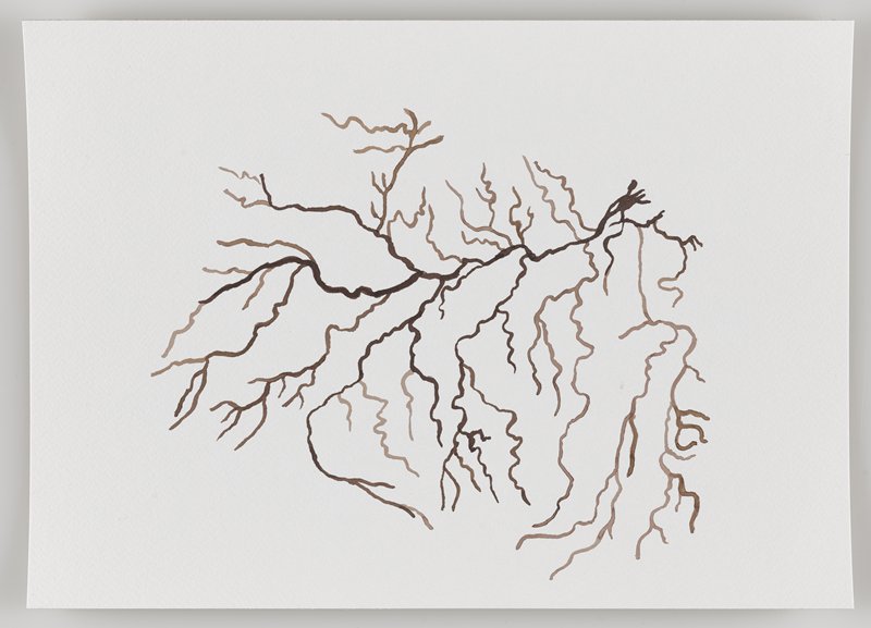 Amazon River Basin, from Echo #3, Rafael Villares, 2015–19