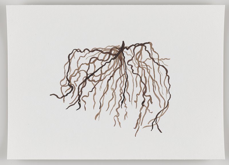 Grass Roots, from Echo #3, Rafael Villares, 2015–19