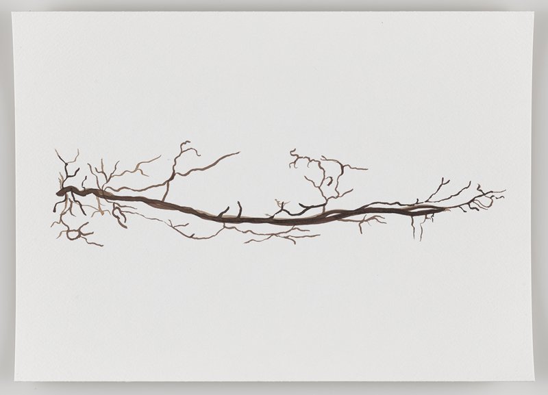 Veins from the Lower Leg, from Echo #3, Rafael Villares, 2015–19
