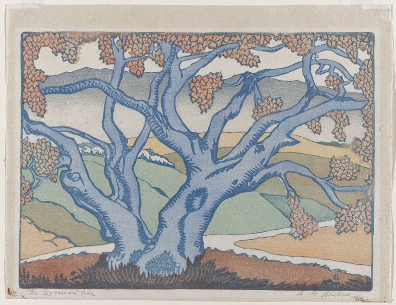 The Sycamore Tree, Anders Gustave Aldrin | Mia