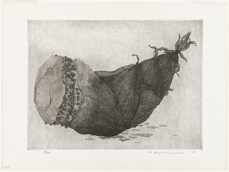 Bamboo sprout, Tanaka Ryōhei, 1969