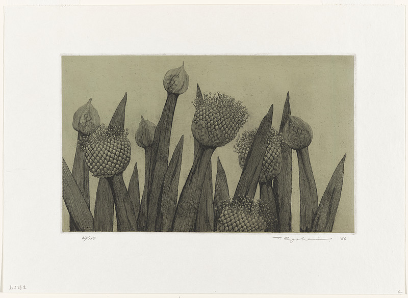 Onion flowers, Tanaka Ryōhei, 1966