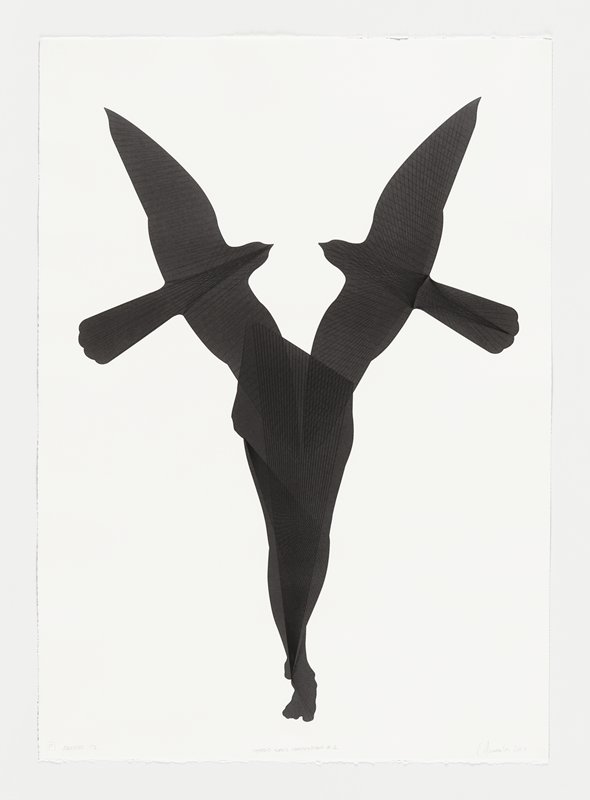 Hybrid Solid Composition #2, Carlos Amorales, 2010