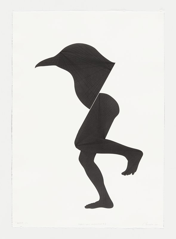 Hybrid Solid Composition #3, Carlos Amorales, 2010
