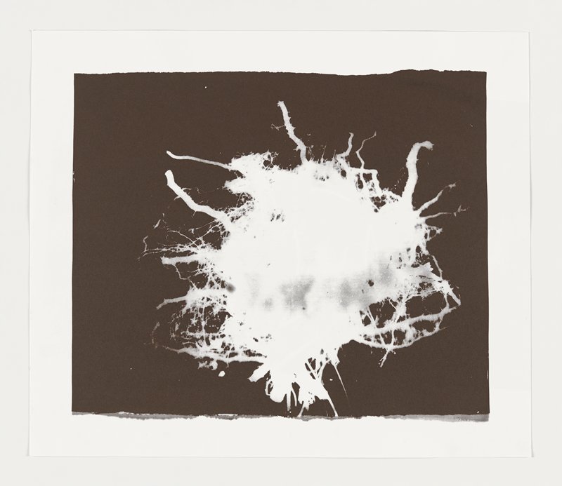 Niet voor Kinderen (32), Jay Heikes, 2015