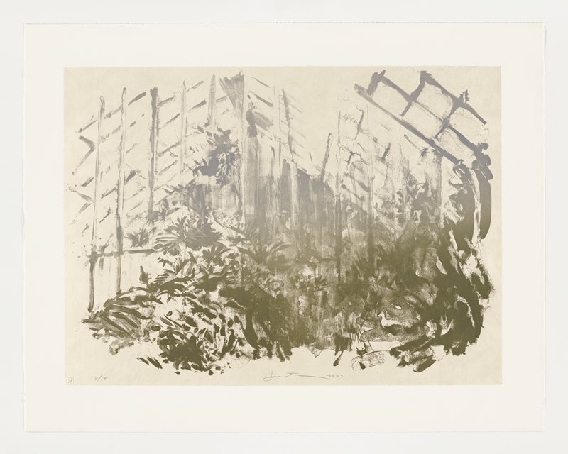 Wash Greenhouse, Joel Janowitz, 2005