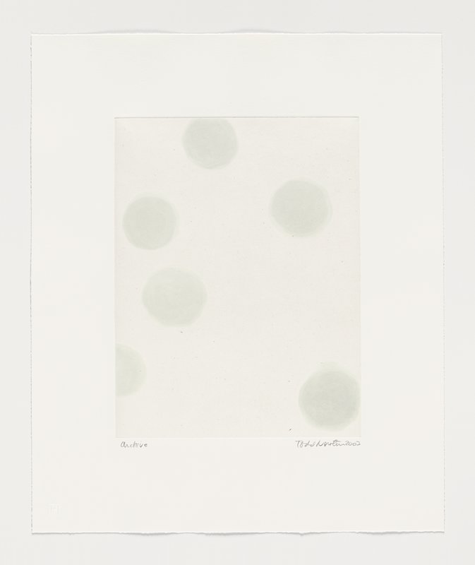 Untitled, Todd Norsten, 2003