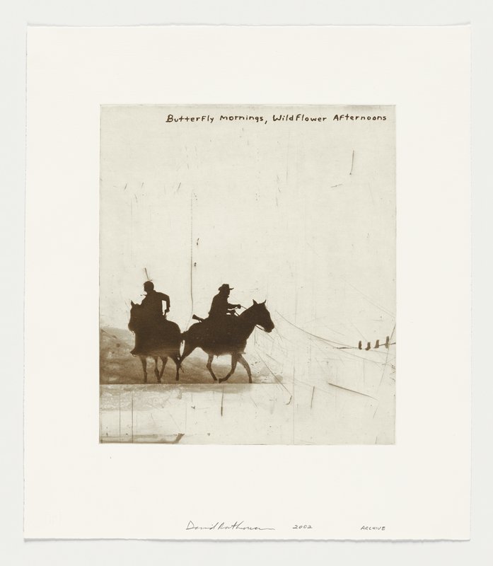 Butterfly Mornings, Wildflower Afternoons, David Rathman, 2002