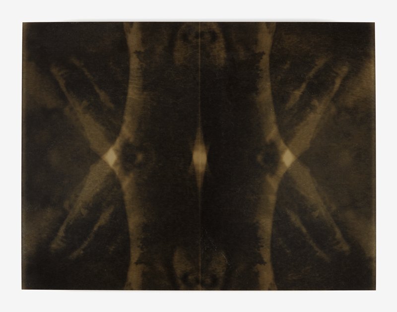 Untitled, Linda Schwarz, 2002