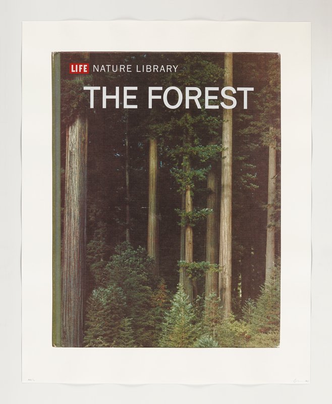 The Forest, Mungo Thomson, 2015