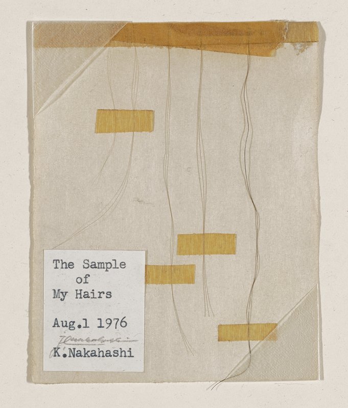 The Sample of My Hairs, Kenji Nakahashi, August 1, 1976