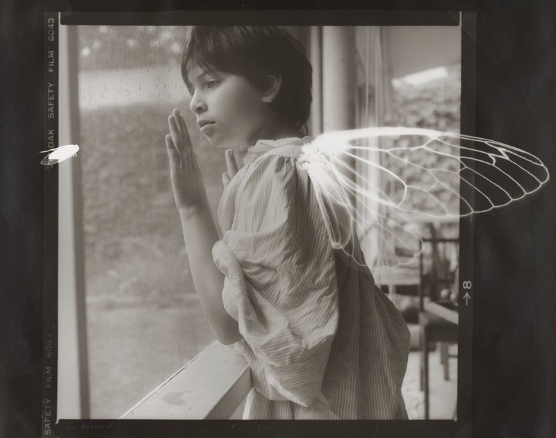 Winged Ones, Joanne Leonard, c. 1985