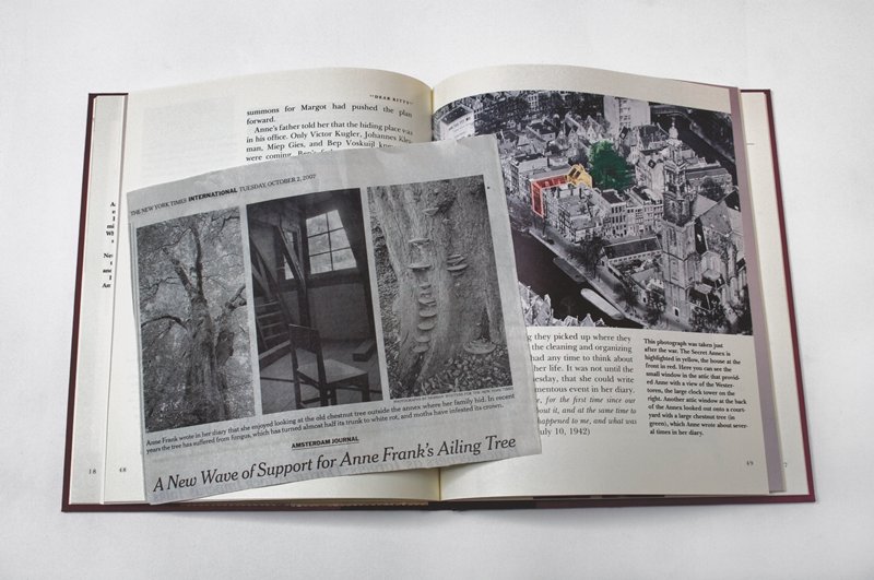 Anne Frank’s Tree, Joanne Leonard, 2012