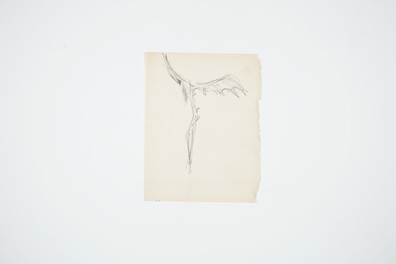 Skylark (Sculpture Study), Theodore Roszak, 1949