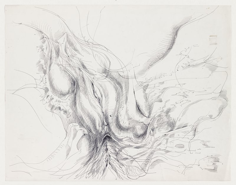 Cosmic Erotic Drawing, Theodore Roszak, 1975